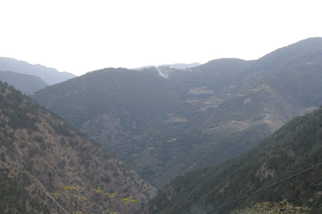 whatsapp image 2025 08 05 at 3.21.13 pm (1)