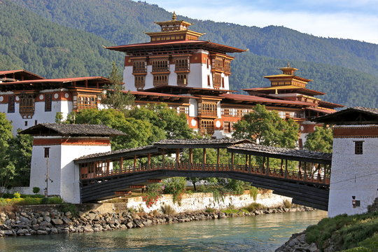 punakha d